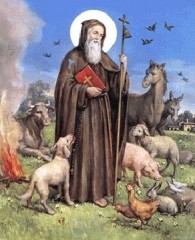 sant'antonio abate, sant0antonio protetore animali